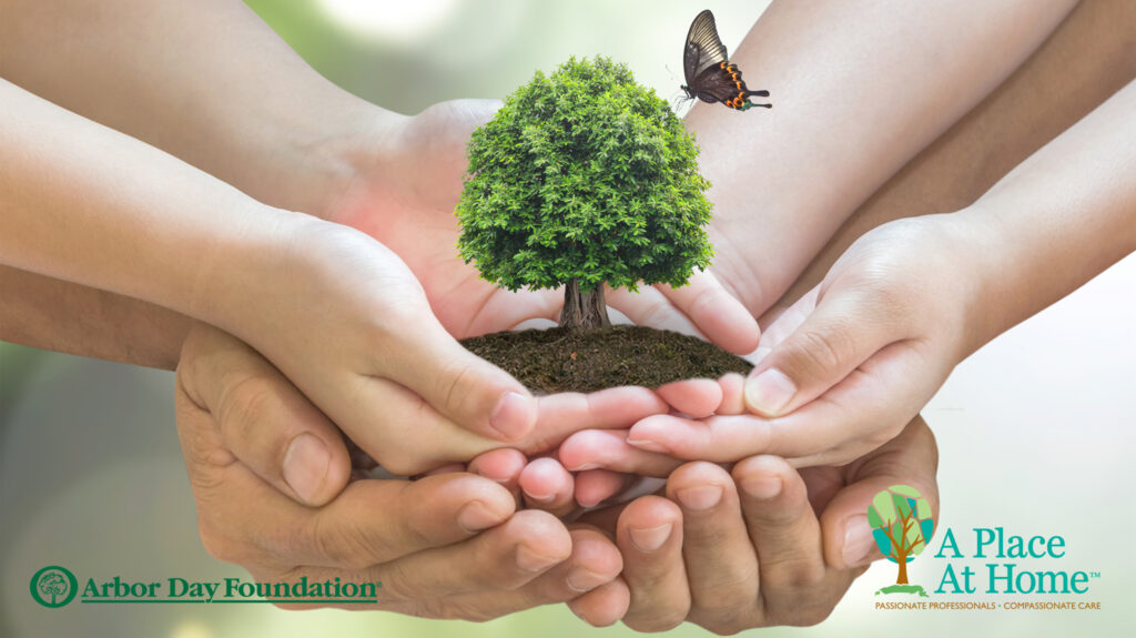 Arbor Day 2020